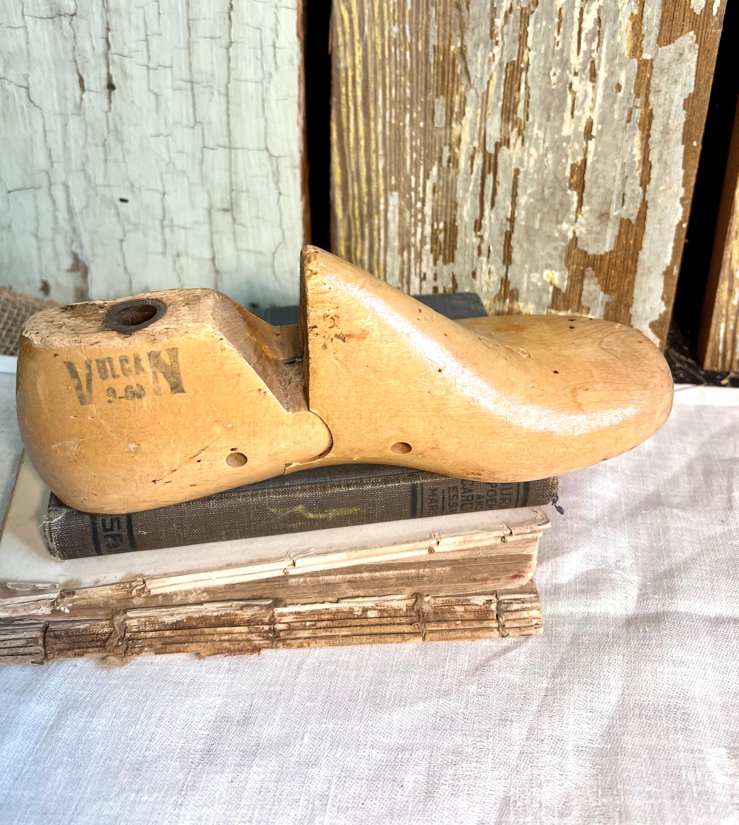 Antique Shoe Mold