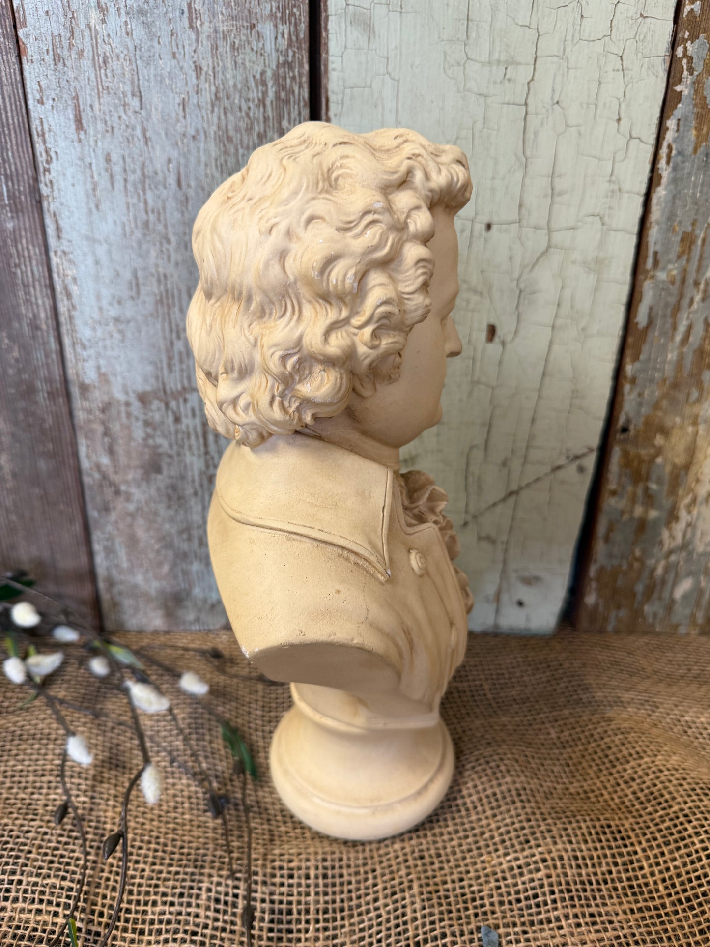 Mozart Bust