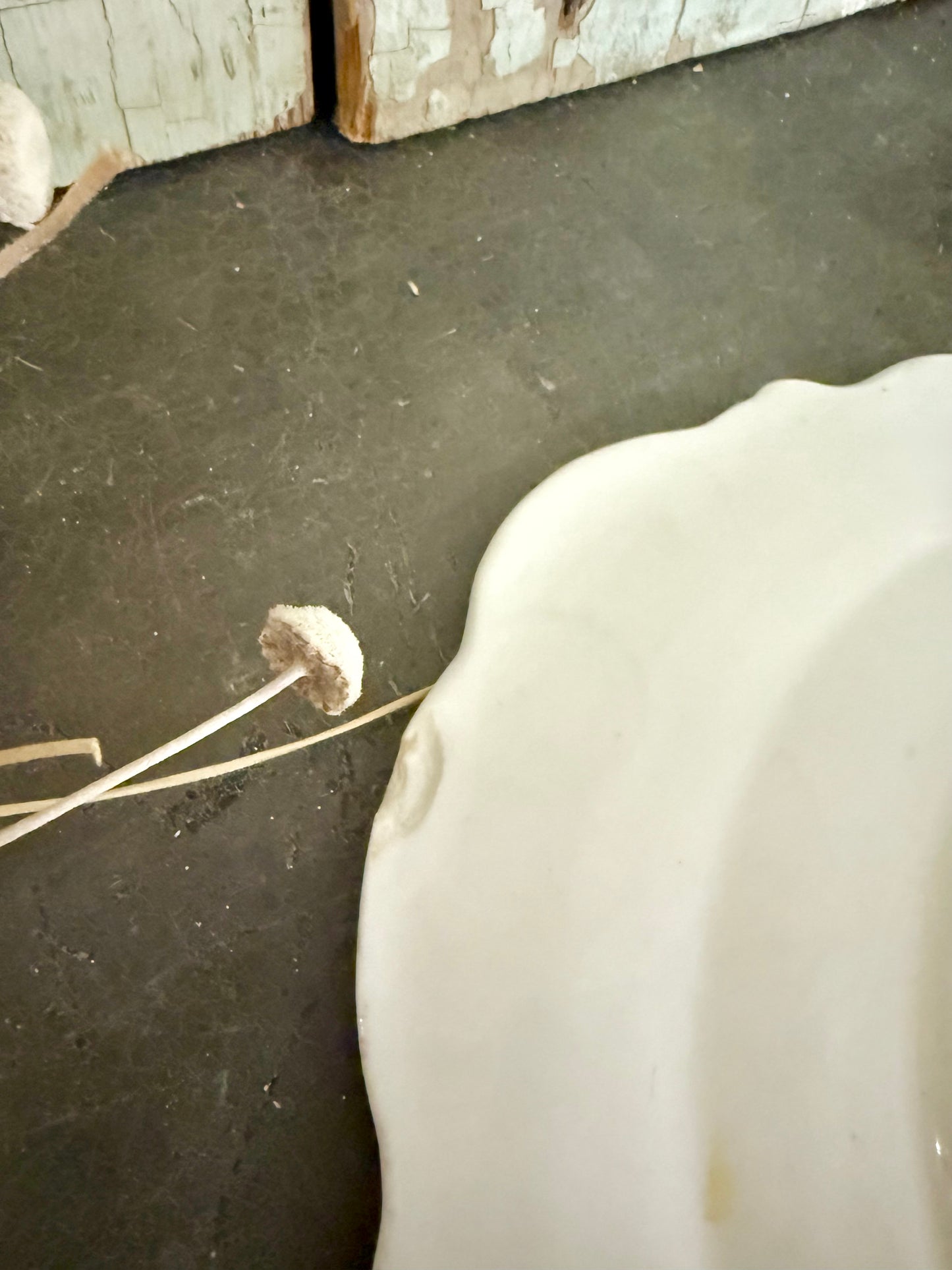 Antique GF Bowers & Co. “The Ages” Plate – Green Transferware – Staffordshire England