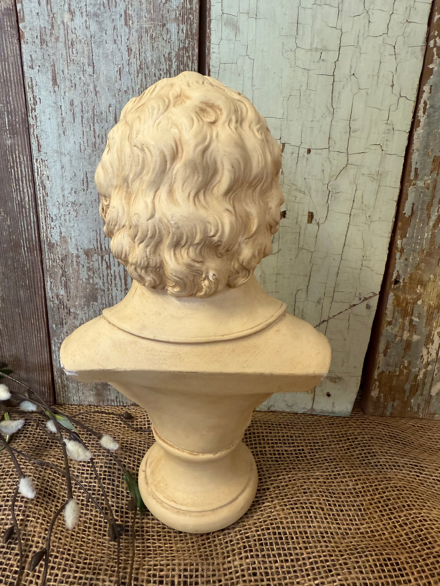 Mozart Bust