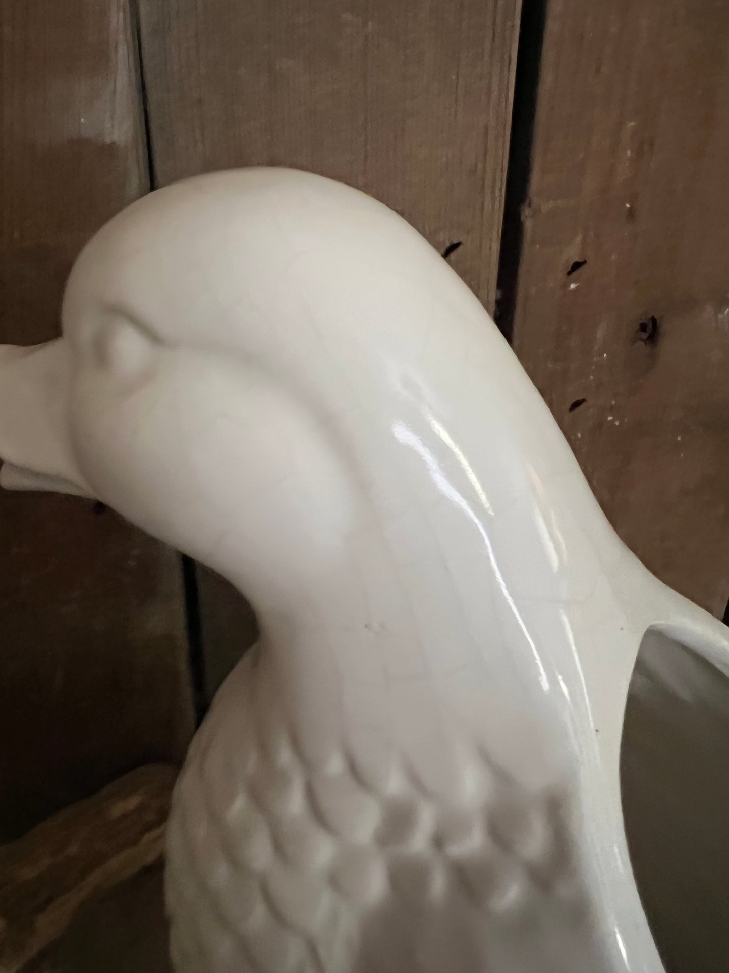 Duck Pitcher