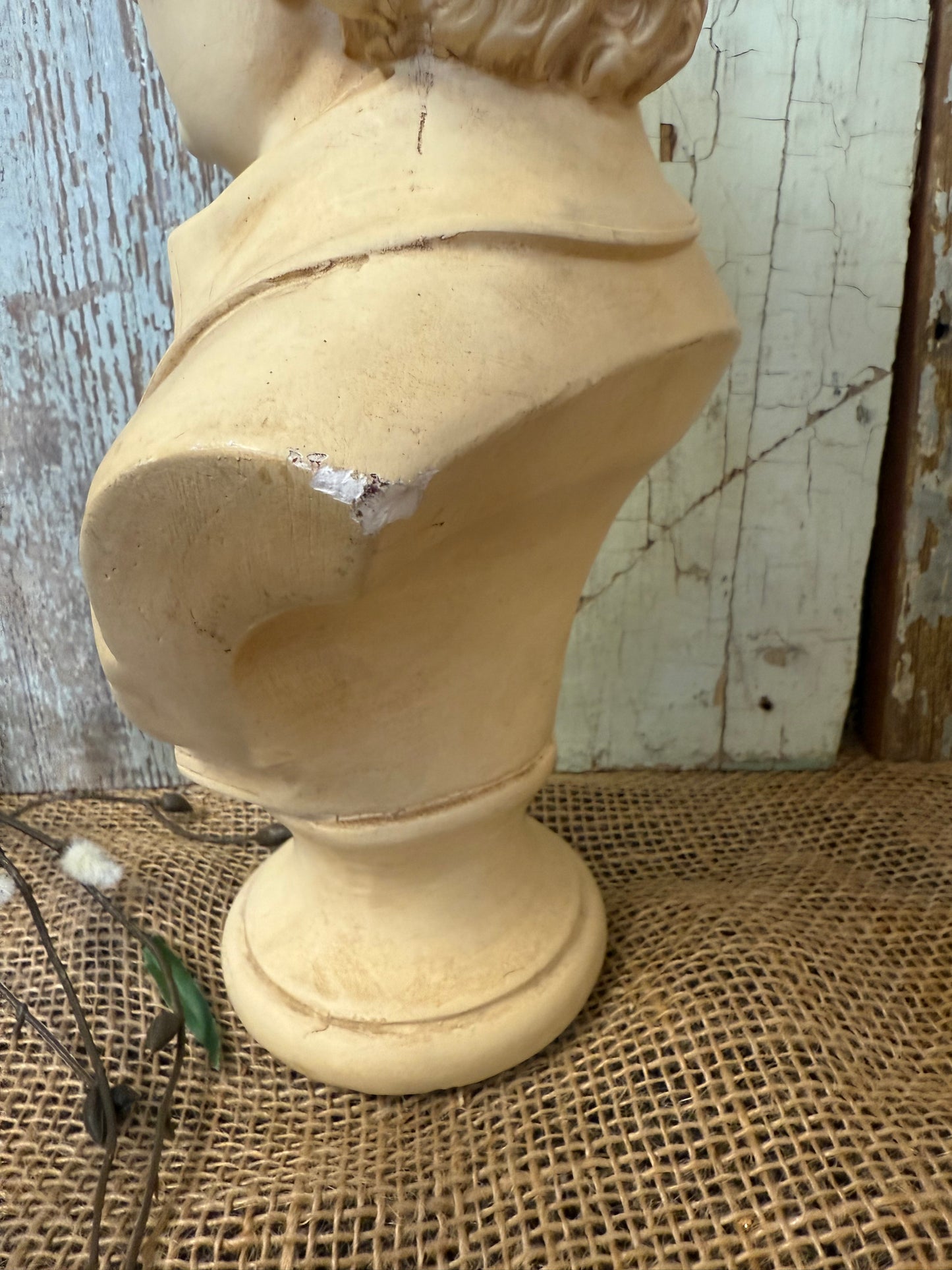 Mozart Bust