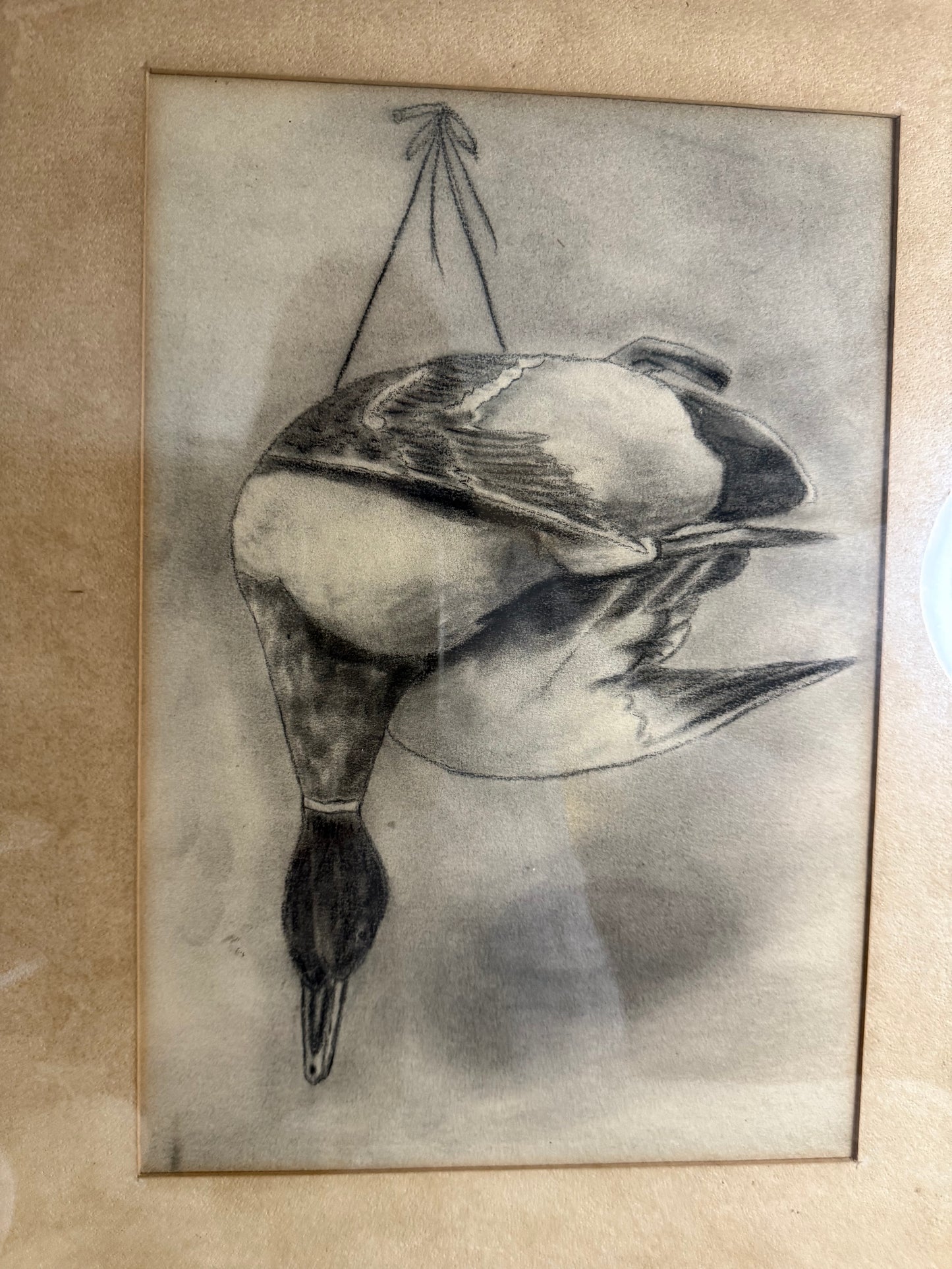 Framed Charcoal Duck Sketch