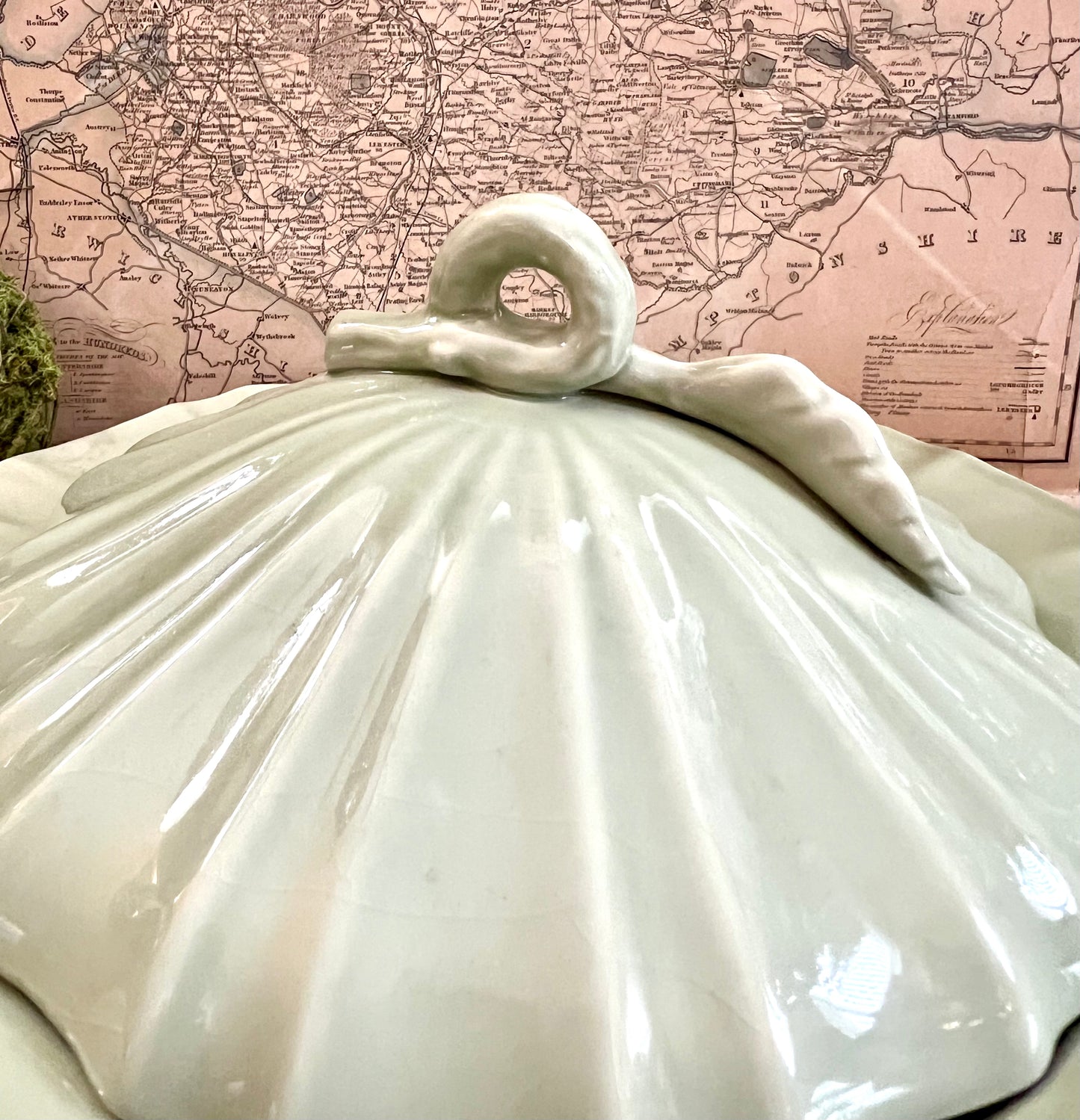 Green Covered Dish