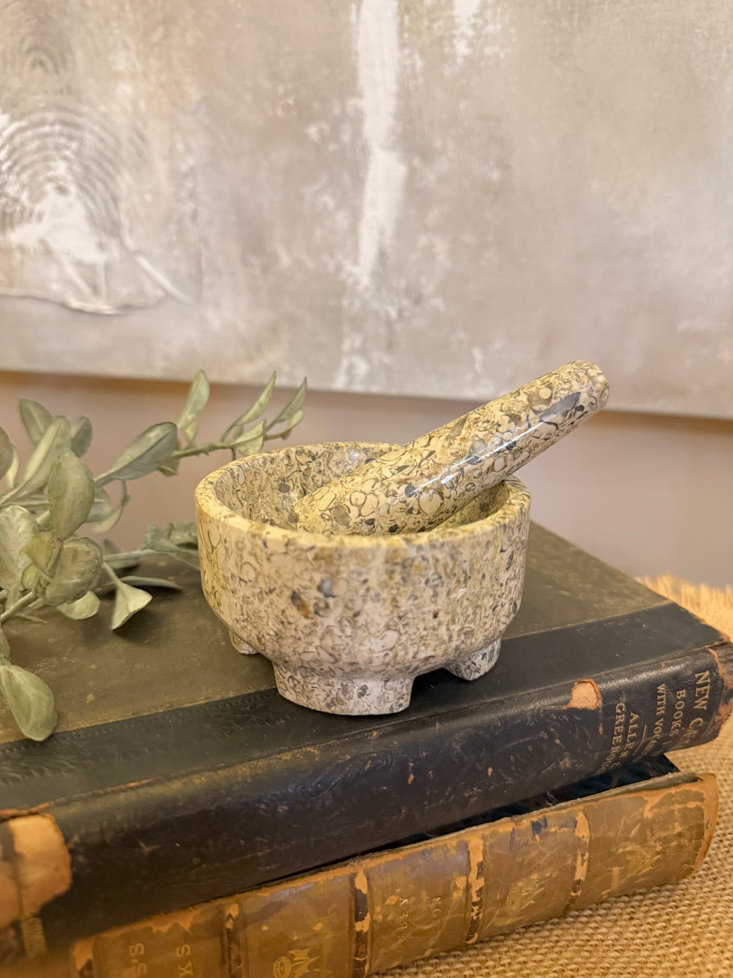 Fossil Stone Mortar & Pestle