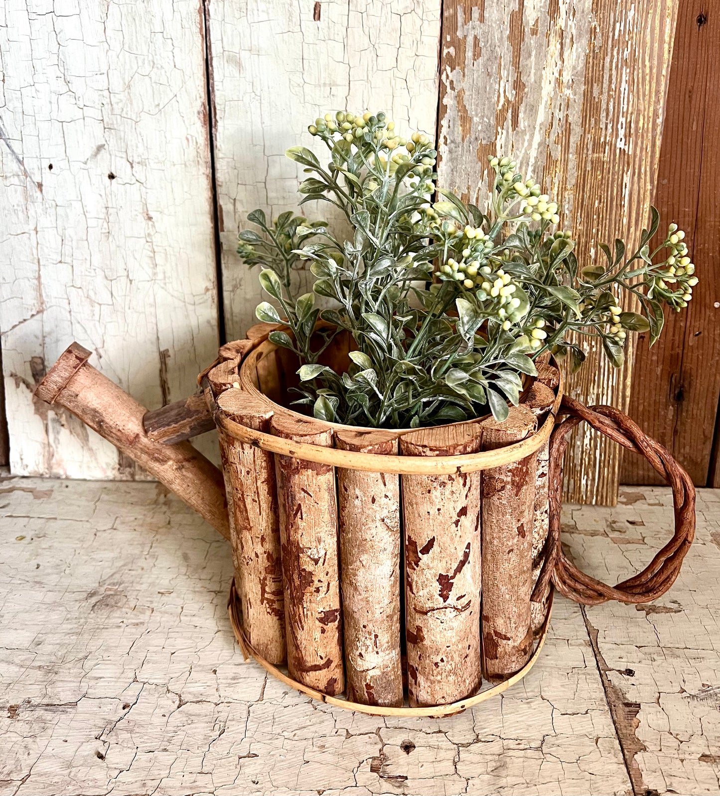 Birch Watering Can Planter