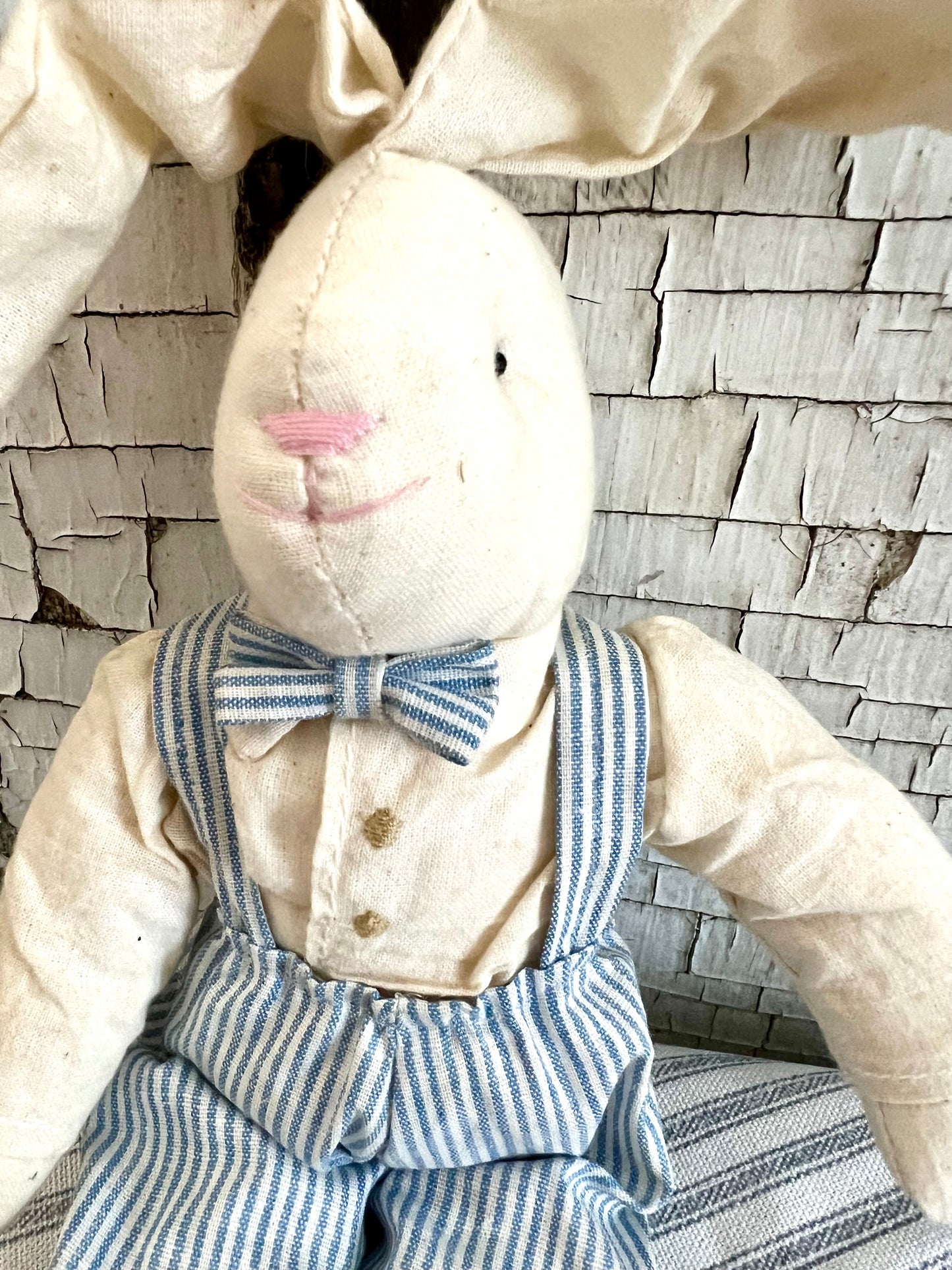 Rag Doll Rabbit