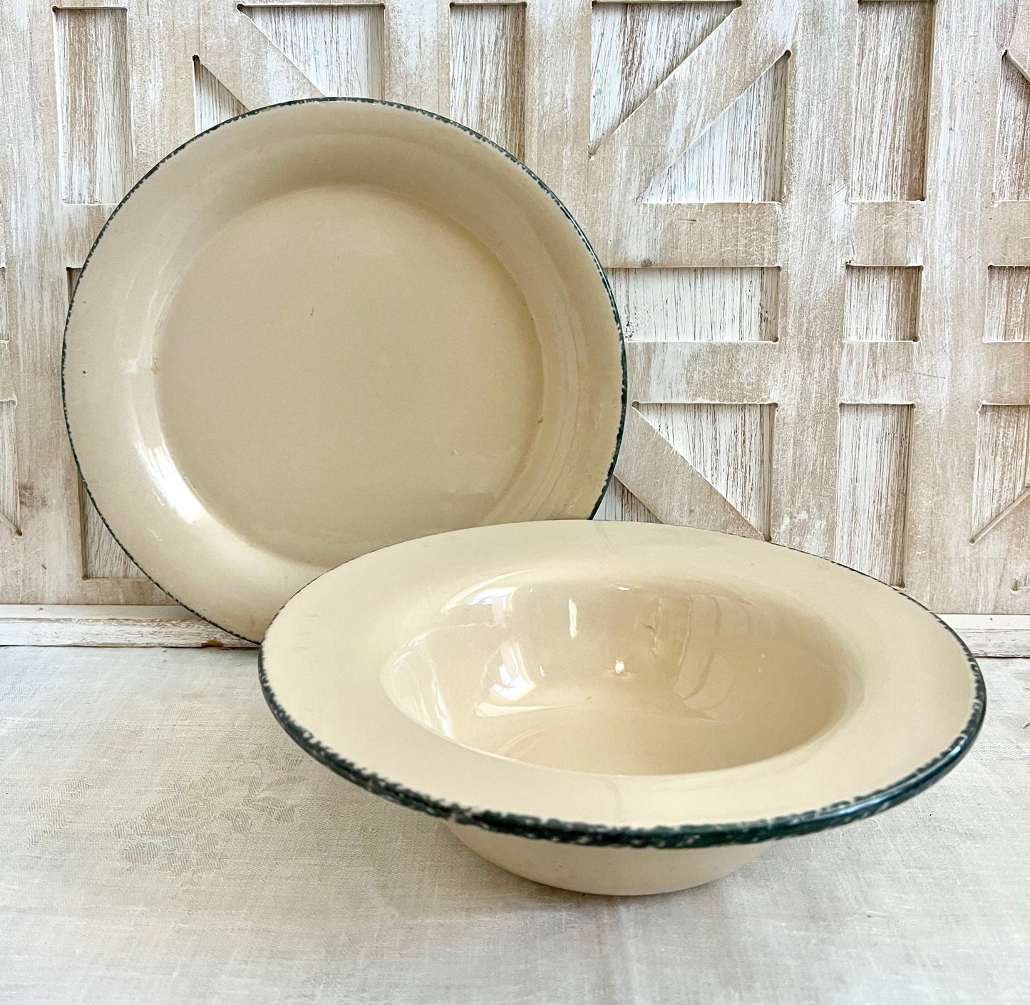 Sponge Wear Plate and Bowl