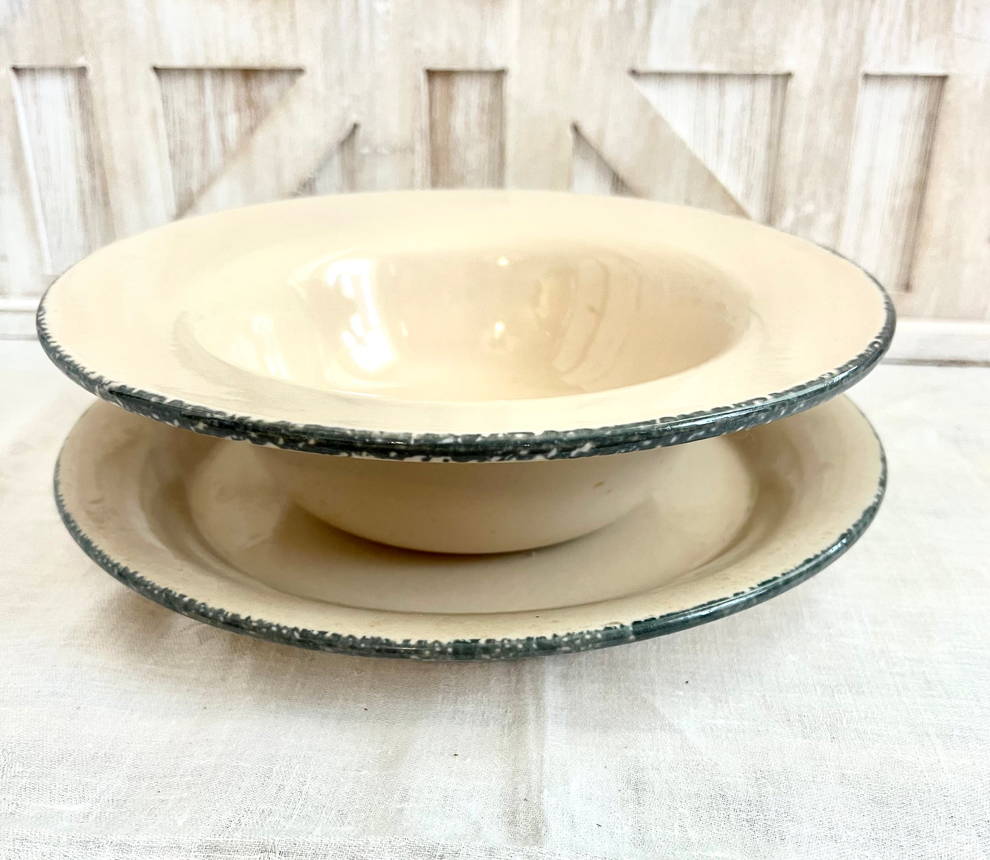 Sponge Wear Plate and Bowl