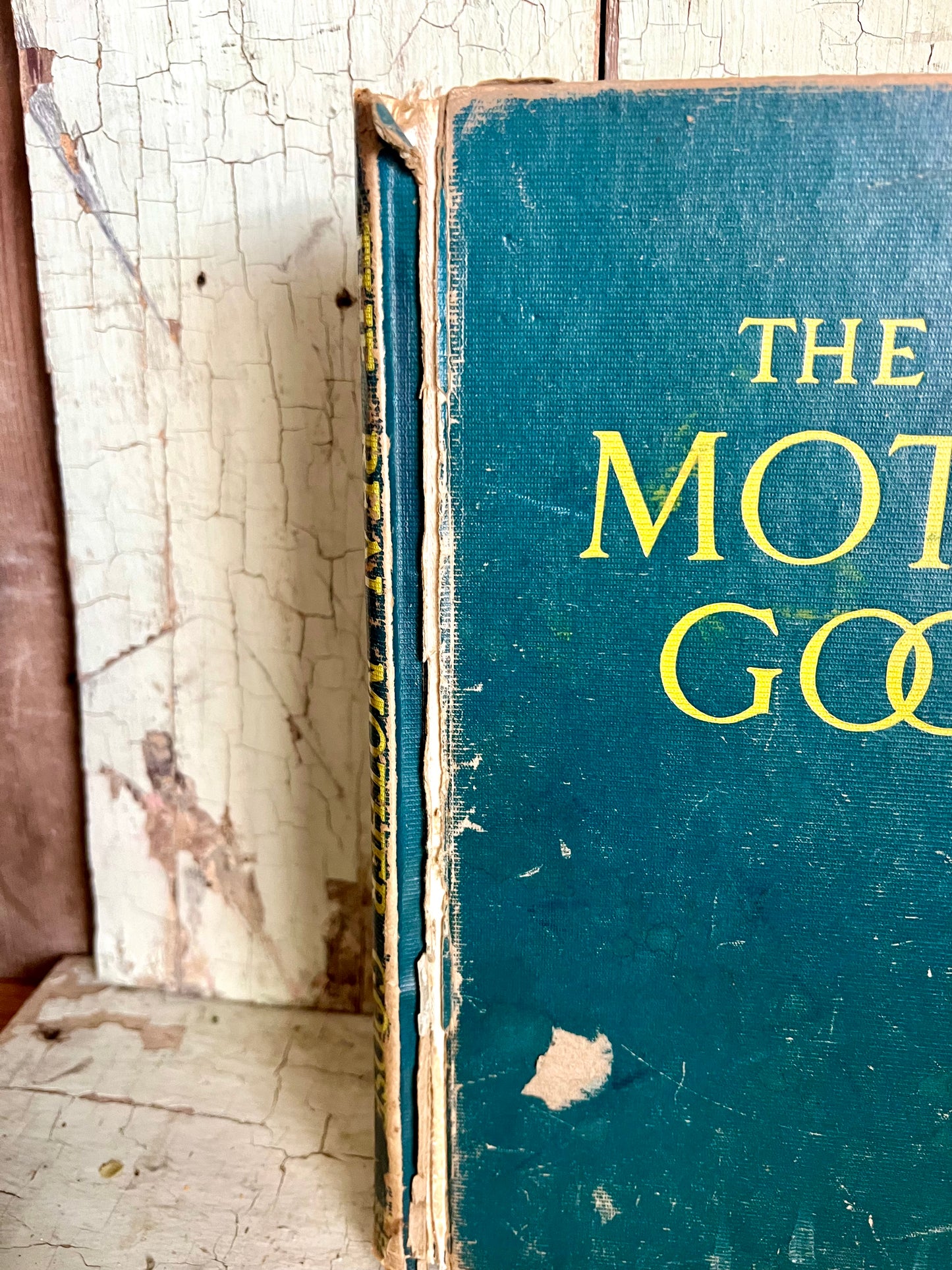 1916 Mother Goose Book