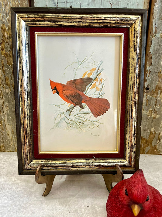 Framed Red Bird Print